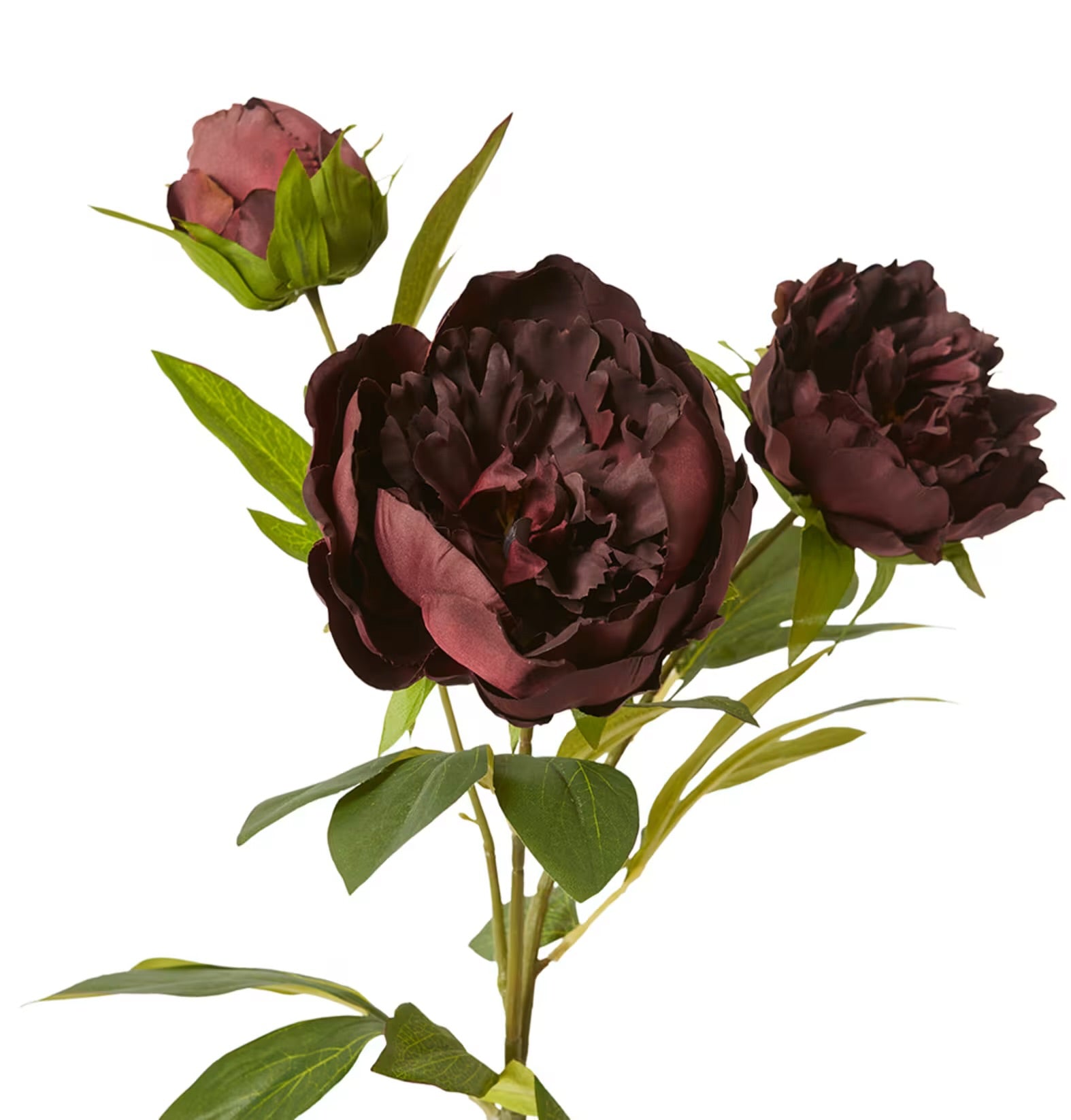 Classic Peony Spray – Burgundy