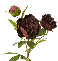 Classic Peony Spray – Burgundy