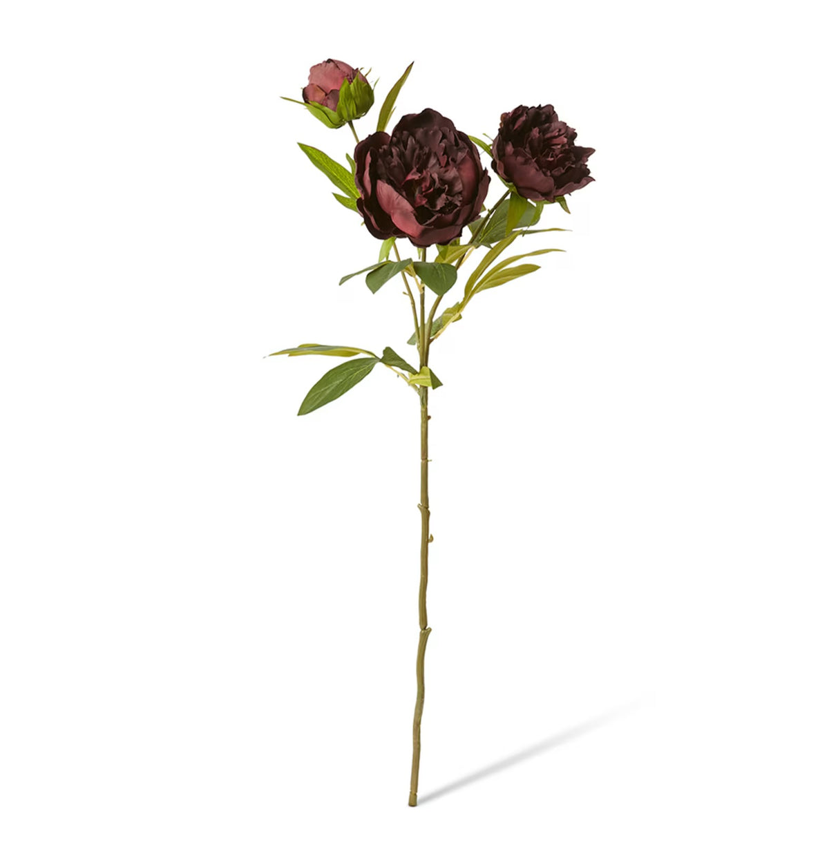 Classic Peony Spray – Burgundy