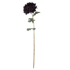 Chrysanthemum Stem – Purple