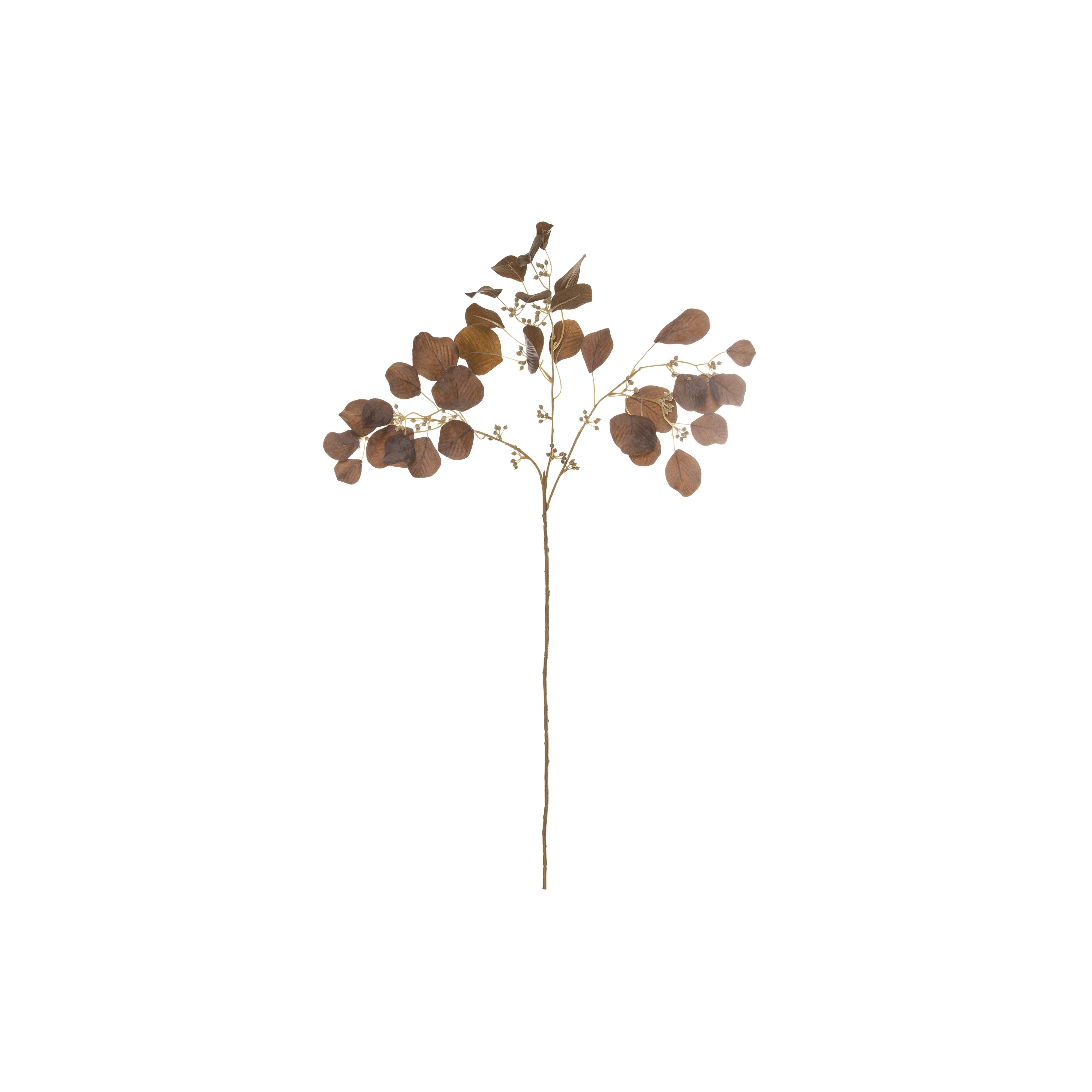 Dried Look Seeding Eucy Spray – Brown