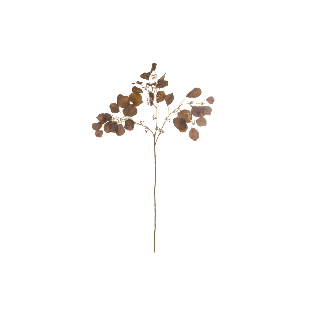 Dried Look Seeding Eucy Spray – Brown