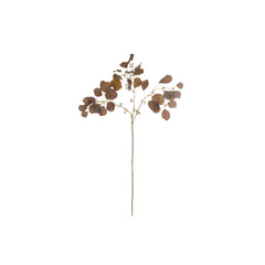 Dried Look Seeding Eucy Spray – Brown