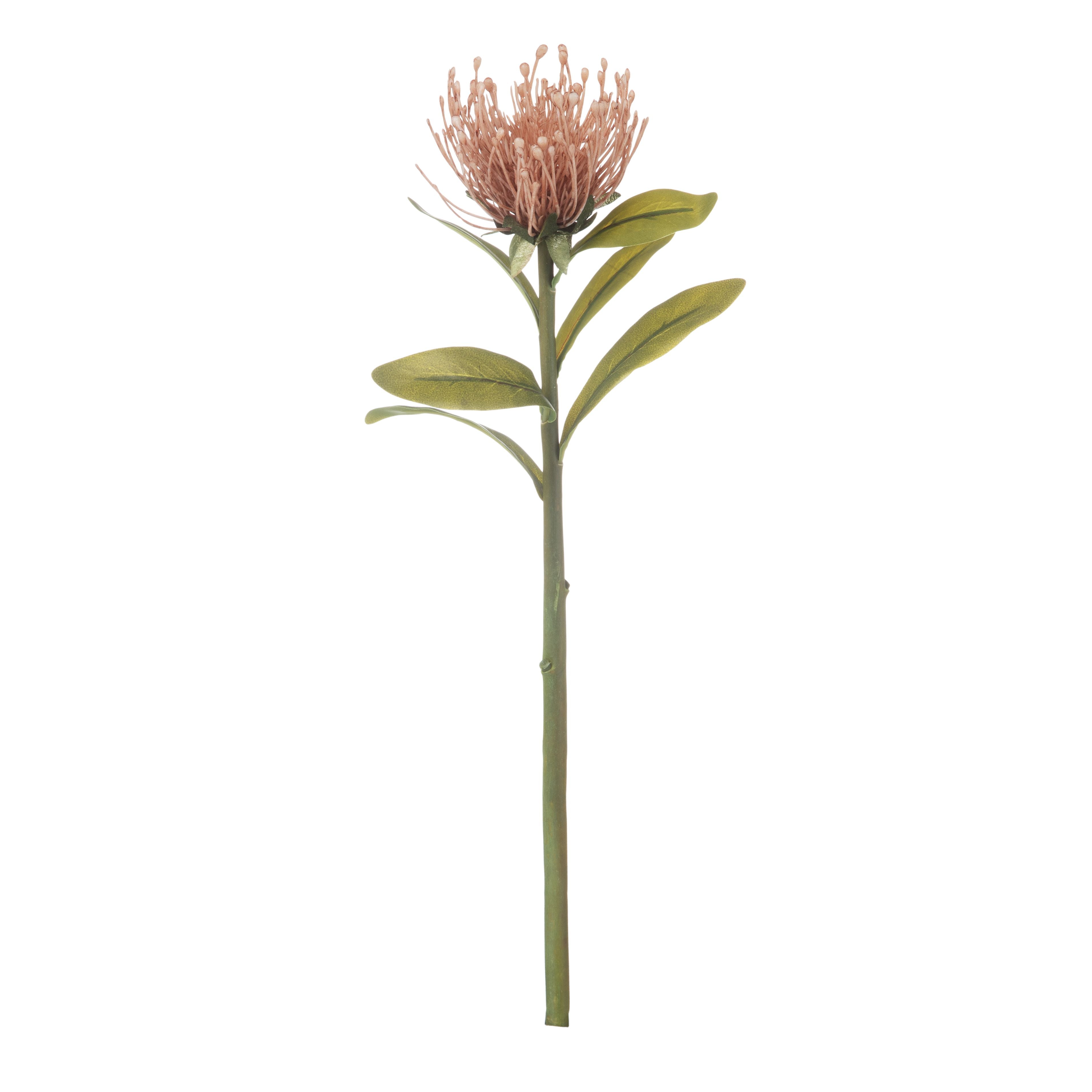 Rogue Pincushion Stem – Pink