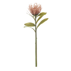 Rogue Pincushion Stem – Pink