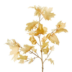 Maple Autumn Leaf Branch