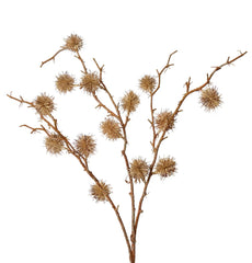 Castanea Spray Stem