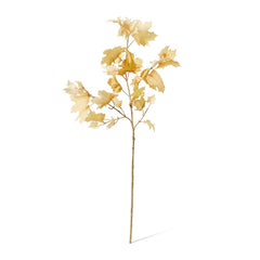 Maple Autumn Leaf Branch