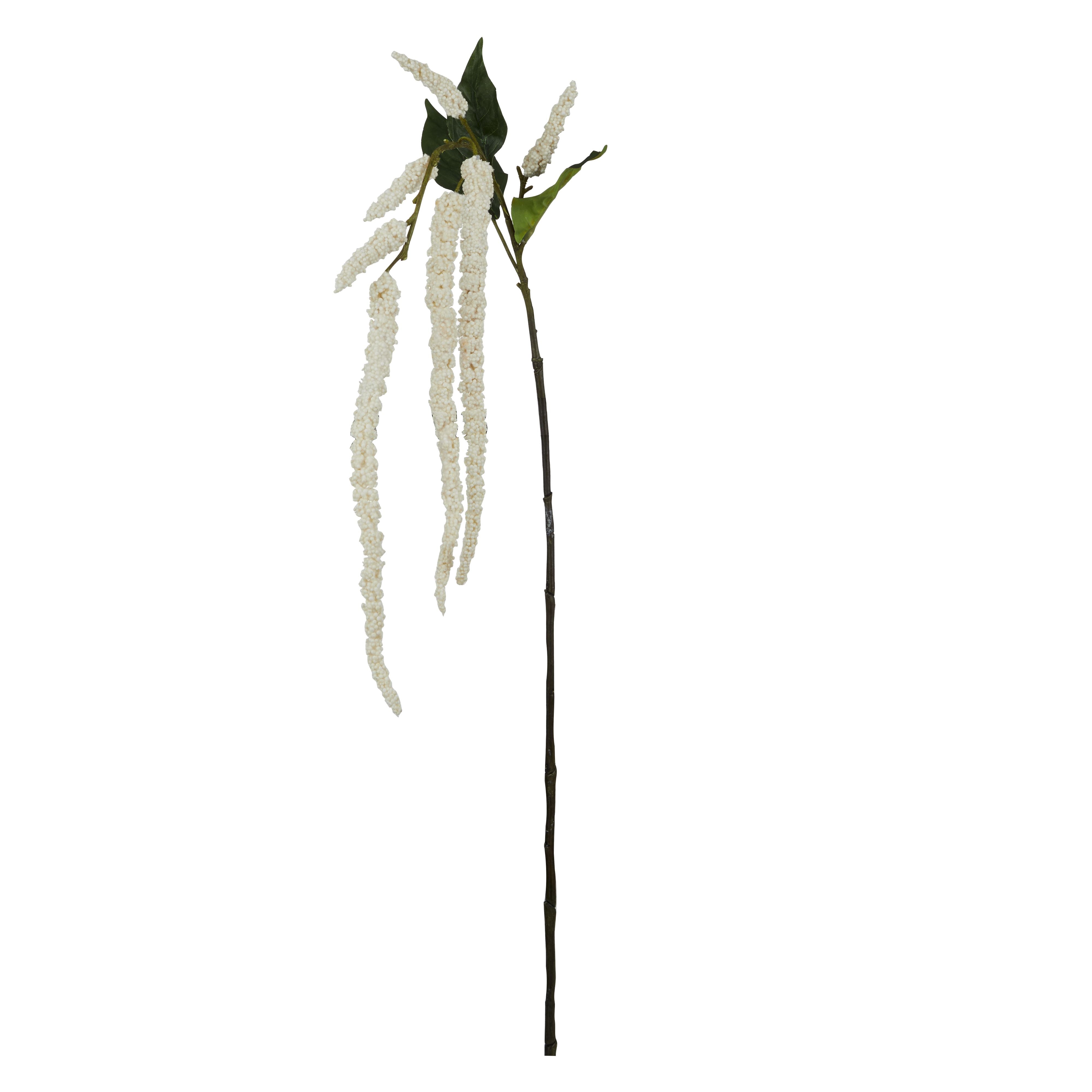 Amaranthus Spray – Cream
