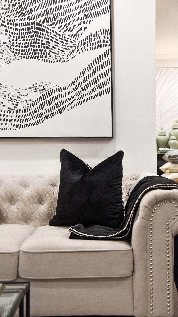 Midnight Velvet White Piped Cushion