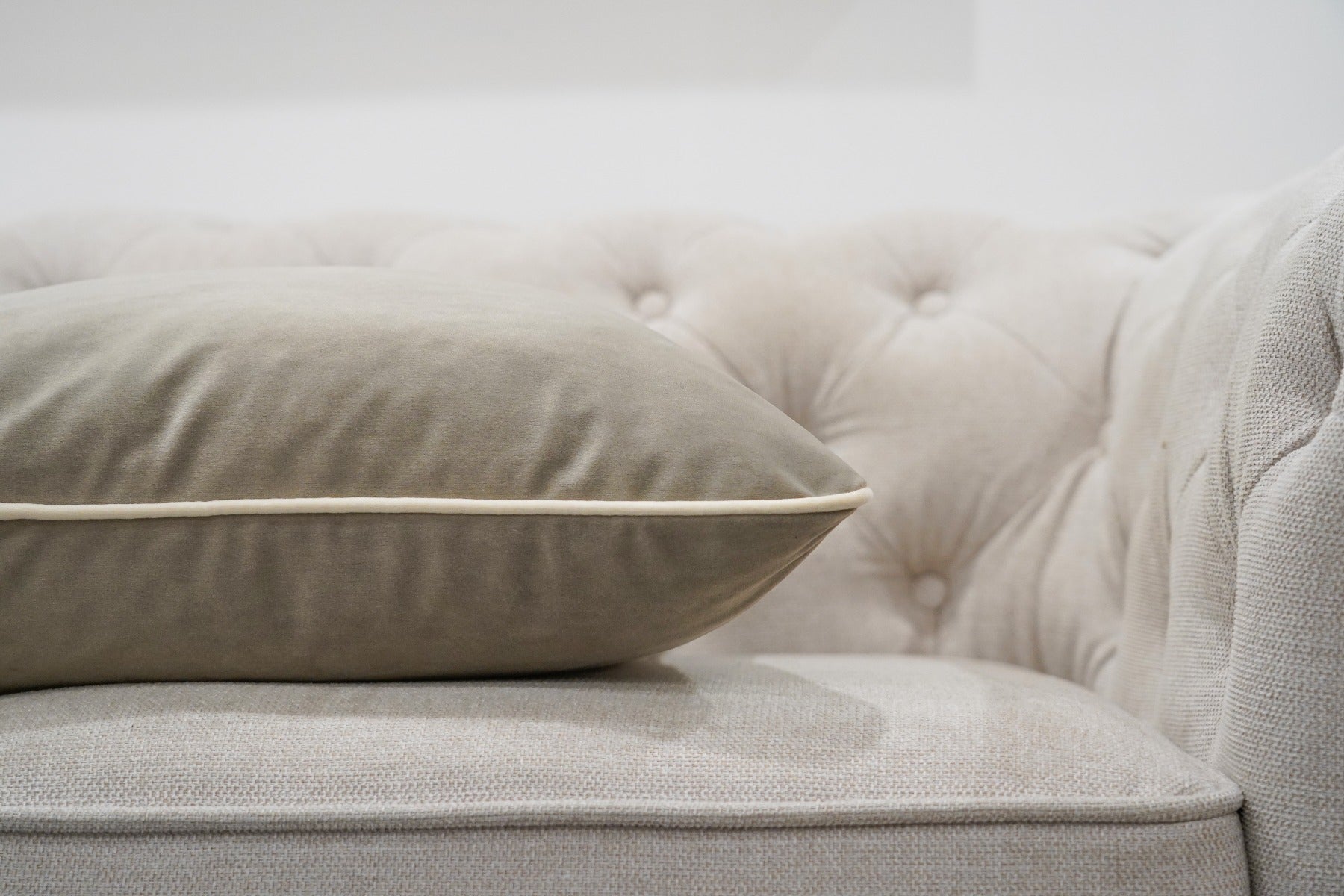 Velvet Sands Cushion