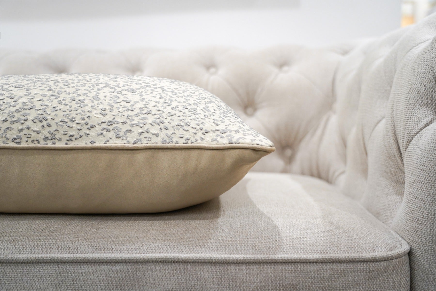 Speckled Sands Cushion