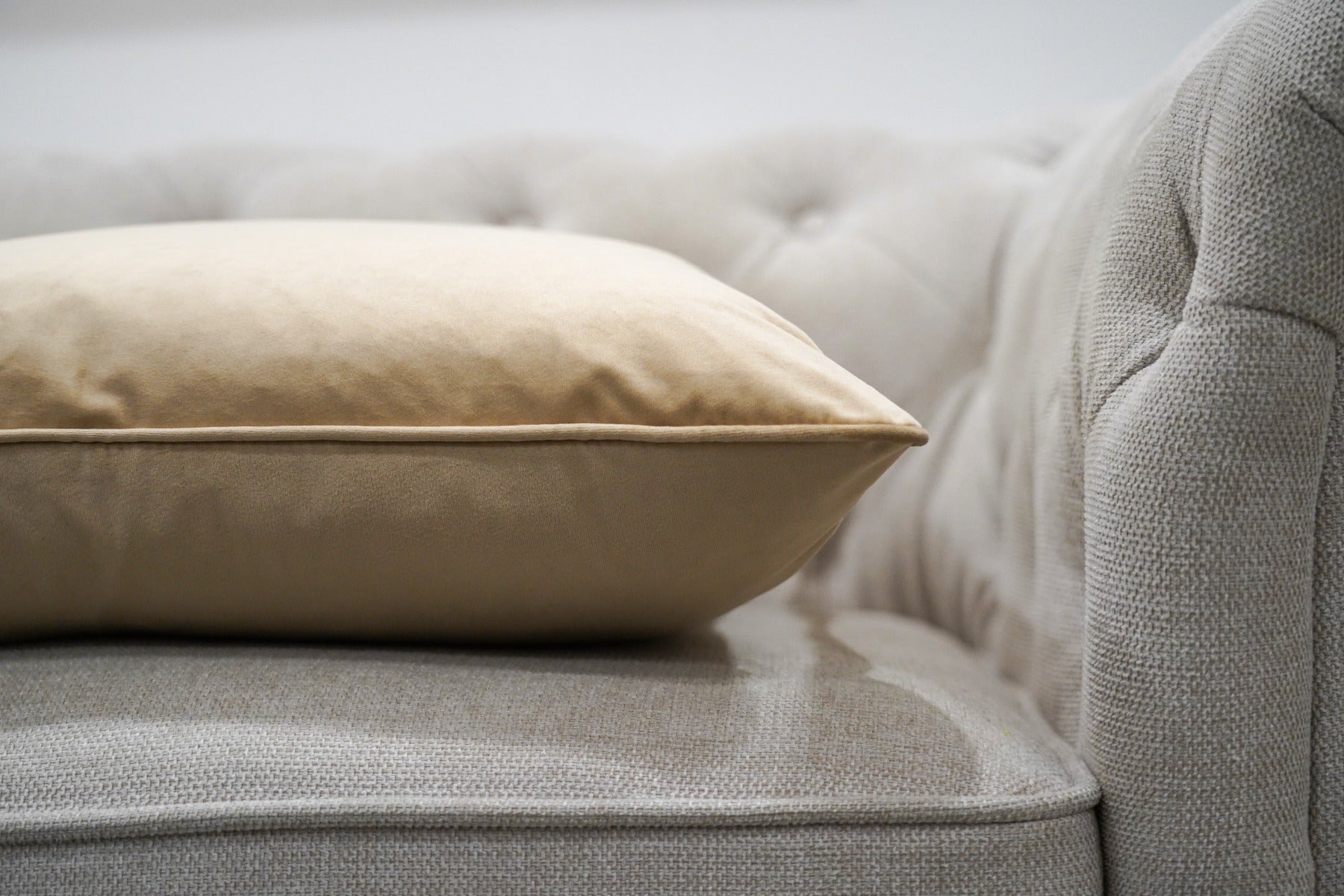 Velvet Lumbar Cushion