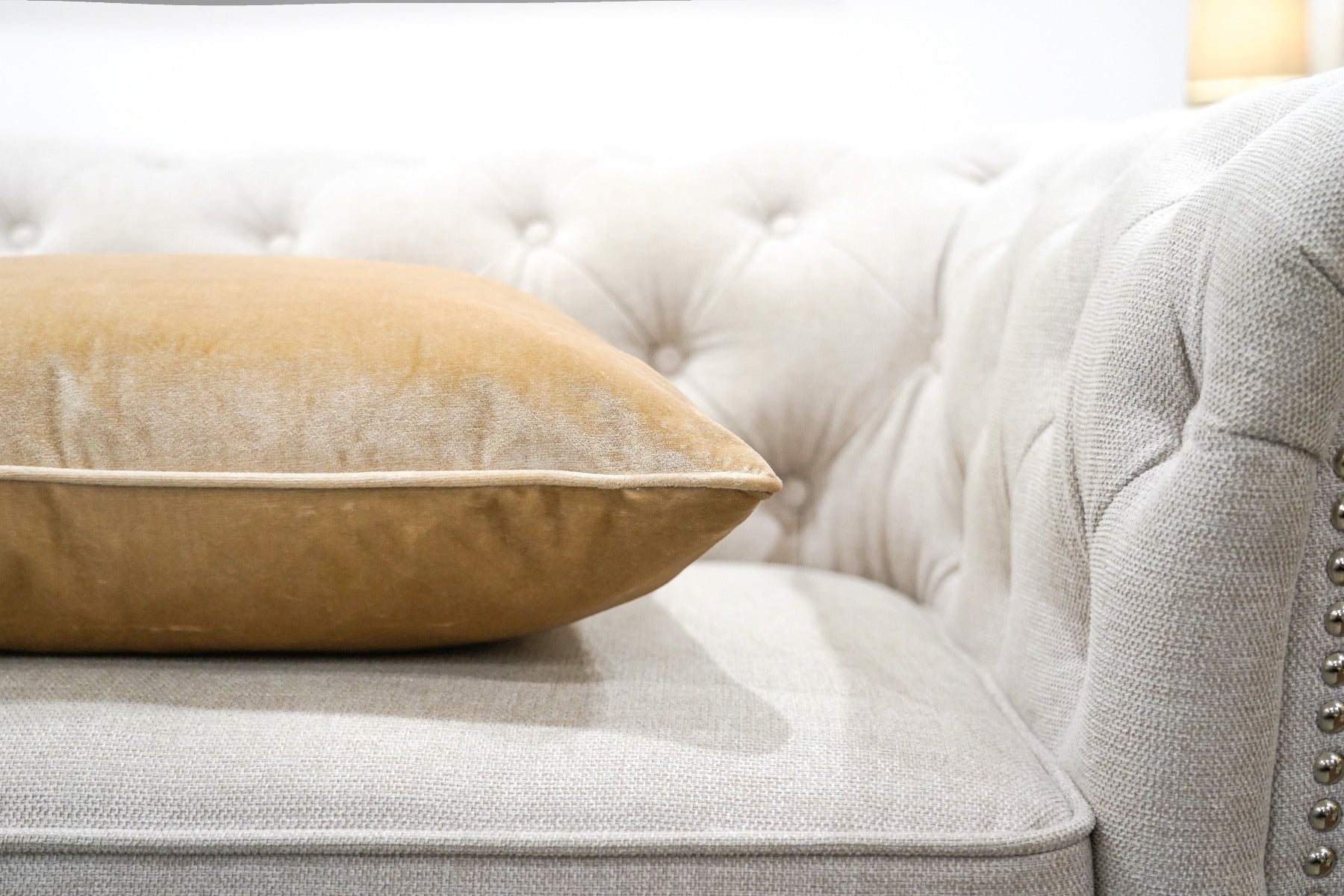 Champagne Velvet cushion