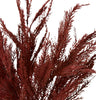 Burgundy Grass Feather Bush