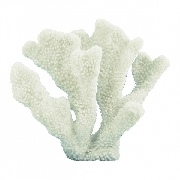 Azure Crest Coral