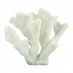 Azure Crest Coral