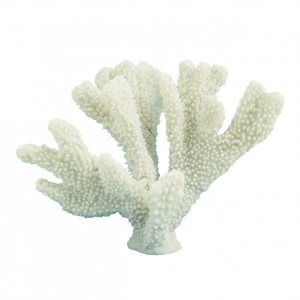 Titanates Reef horn