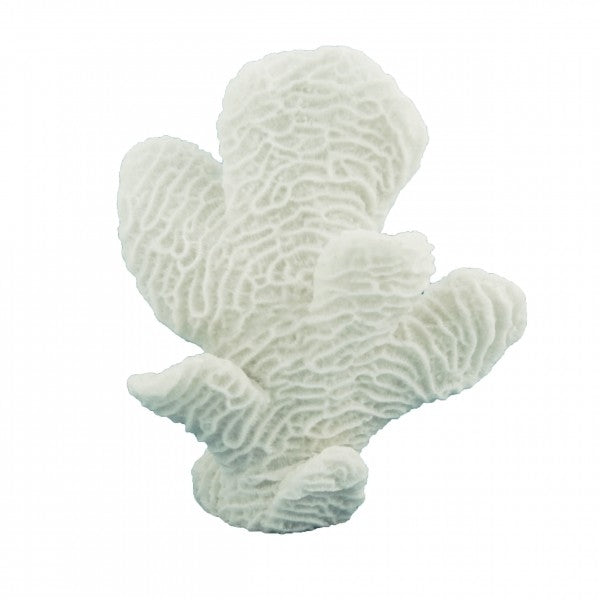 Sapphire Spire Coral